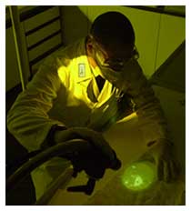 Immagine raffigurante degli accertamenti eseguiti dalla sezione di Biologia