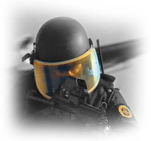 Gruppo Intervento Speciale (G.I.S.) Carabinieri. Gruppo Intervento Speciale (G.I.S.) Carabinieri.