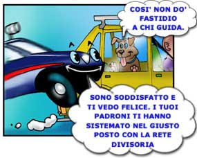 Trasporto di animali in auto