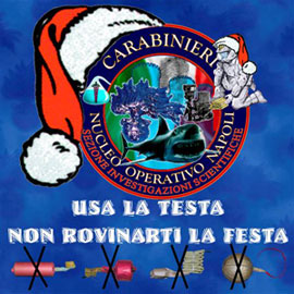 Un artificiere dei carabinieri illustra le potenzialità di un ordigno