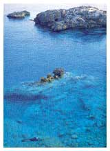 Il mare delle Isole Tremiti