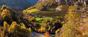FOTO A - VIgneti delal Valle d_Aosta