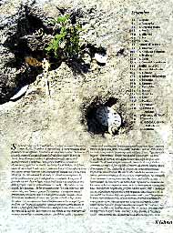 Mese di settembre - Il gioco