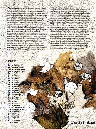 Mese di ottobre - Libertà e prudenza