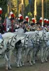 Foto pi� significative della Festa dell'Arma 2004