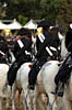 Foto pi� significative della Festa dell'Arma 2005