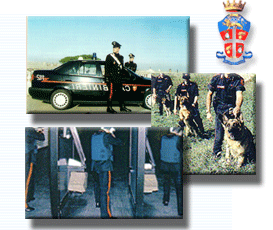 Bild bestehend aus drei Fotos welche die Carabinieri bei der Ausübung der institutionellen Aufgaben zeigen
