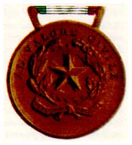 Medaglia di Bronzo al Valor Civile.