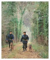 una pattuglia di Carabinieri Cinofili. Costituito nel 1957, il reparto cinfili viene impiegato nella ricerca di latitanti e nelle operazioni di soccorso