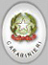 torna alla pagina iniziale del servizio Carabinieri online