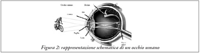Rappresentanza schematica di un occhio umano