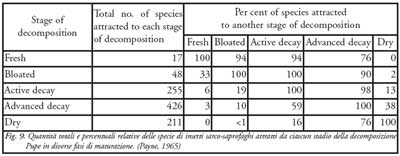 Quantità totali e percentuali relative delle specie di insetti sarco-saprofaghi attratti da ciascun stadio della decomposizione Pupe in diverse fasi di maturazione. (Payne, 1965)