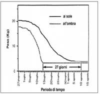 Perdita di biomassa in due carcasse di suini esposte rispettivamente in ambiente soleggiato e all'ombra (shean et al. 1993, mod.)