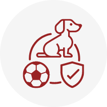 sicurezza nella vita quotidiana