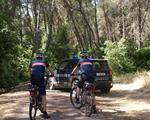 I CARABINIERI FORESTALI NEL PARCO NAZIONALE DELL’ALTA MURGIA