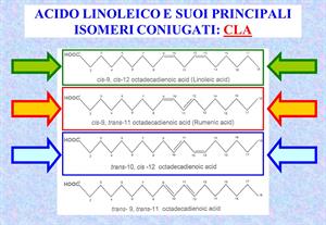 ACIDO+LINOLEICO+E+SUOI+PRINCIPALI+ISOMERI+CONIUGATI_+CLA