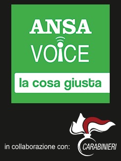 ANSA Voice logo