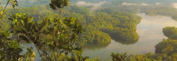 L’ ETICA FORESTALE NELLE IDEE E NELLA REALTÀ