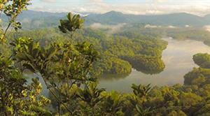 biodiversita-finance-bio (1)