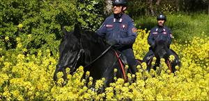 Carabinieri forestali in perlustrazione a cavallo