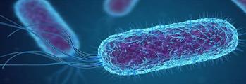 BIOTERRORISMO ALIMENTARE