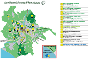 Figura 1 (1)