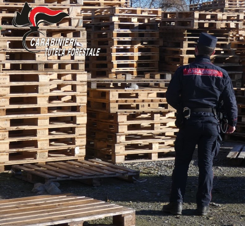 Figura 1: attività ispettiva in merito al recupero dei pallet
