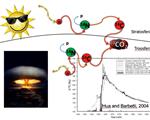 La determinazione del contenuto a base biologica nelle materie plastiche attraverso la UNI CEN/TS 16640:2014