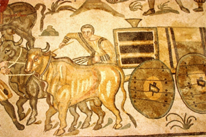 figura n. 5