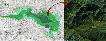 Habitat e flora vascolare dell’Oasi WWF Montagna di Sopra sui Monti del Partenio