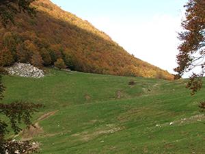 foto 1 (1)