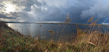 LA CONVENZIONE DI RAMSAR E LE SALINE DI TARQUINIA