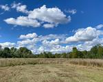 LA SVOLTA AMBIENTALE CON LA NATURE RESTORATION LAW