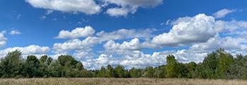 LA SVOLTA AMBIENTALE CON LA NATURE RESTORATION LAW
