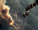 Intelligenza artificiale e satelliti nella tutela delle aree forestali