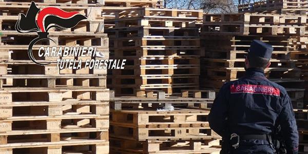 PALLET: DA IMBALLAGGIO RIUTILIZZABILE A RIFIUTO