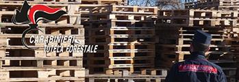 PALLET: DA IMBALLAGGIO RIUTILIZZABILE A RIFIUTO