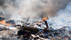 riproduzione fotografica