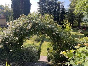 web castello web castello