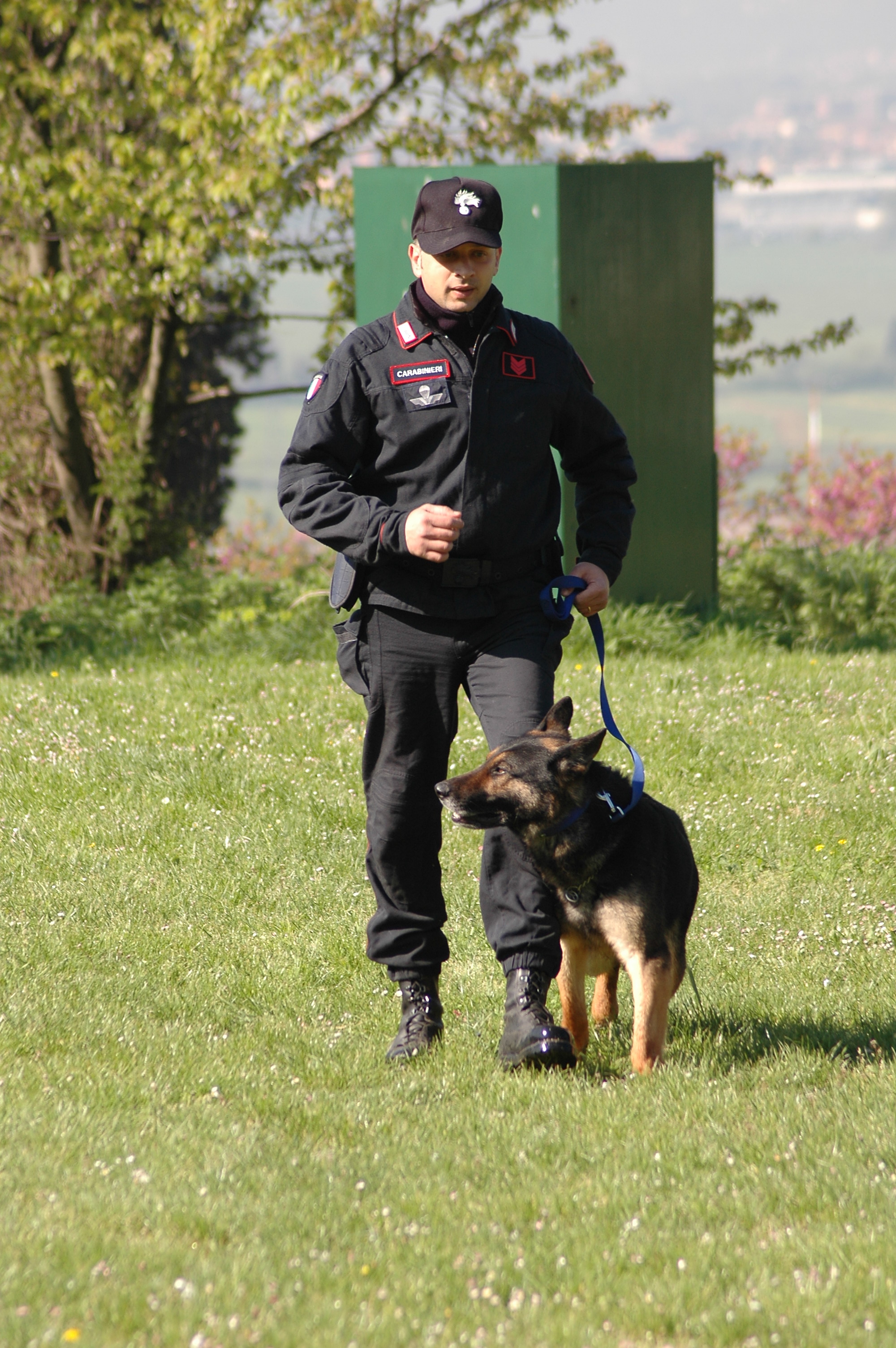 Centro Carabinieri Cinofili