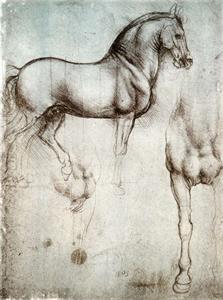 FOTO APERTURA Leonardo Da Vinci - studio di cavallo (1490)