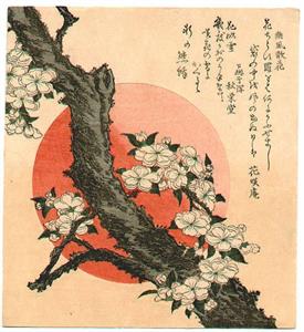 FOTO B Hokusai