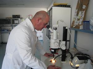 CNCB Peri: valutazione semi con microscopio binoculare