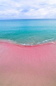 spiaggia con sabbia rosa