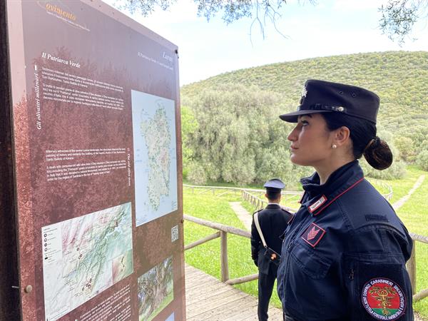 Forestale_parchi Forestale_parchi