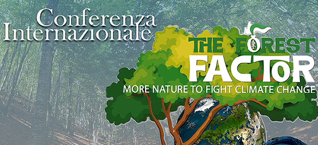 The Forest factor - Piu Natura per combattere il riscaldamento globale
