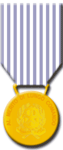 Recto della Medalglia di bronzo al merito di Lungo Comando