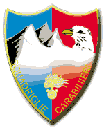 Distintivo delle Squadriglie Carabinieri