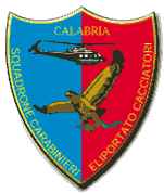 Distintivo dello Squadrone Eliportato CC Cacciatori di 'Calabria'