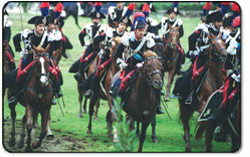 Immagine raffigurante Carosello equestre dei Carabinieri